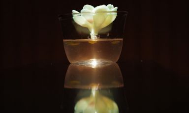 La drink list di Sentaku Izakaya, la prima del nuovo bar manager Erick Munguia, comprende undici bicchieri costruiti intorno alle figure degli yōkai, le creature soprannaturali che popolano da secoli il folklore giapponese
