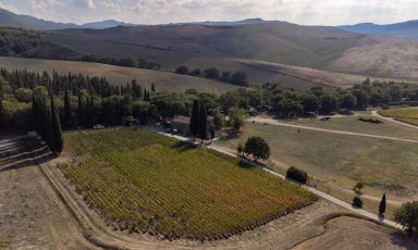 Un'immagine dall'alto di Tenuta di Trinoro a Sarteano
