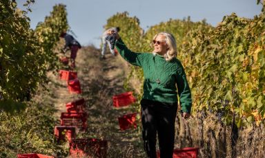 Emilia Nardi tra i vigneti di Tenute Silvio Nardi a Montalcino. Tutte le foto sono di Bruno Bruchi
