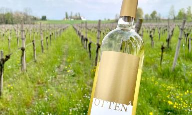 Otten 3 è una delle nove etichette prodotte da cantina San Michele nel Bresciano: è un vino bianco a base Trebbiano il cui nome, letto al contrario fa "Netto" come il Monte del quale è originario
