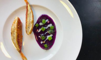 Triglia, gazpacho di cavolo cappuccio viola, agli nero, cedro candito​: il piatto dell'autunno di Luca Tomasicchio
