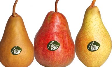 In foto, le variet&agrave; Kaiser, Red Bartlett e Carmen
