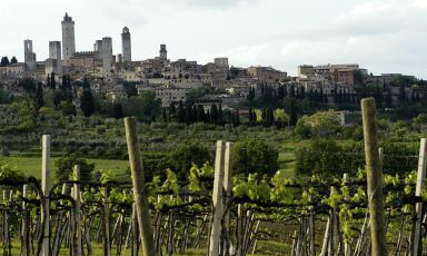 Tra vigneti e torri: la bellezza di San Gimignano
