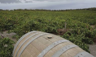 La Vigna Montagna Grande della Tenuta Abraxas di Pantelleria della famiglia Scudieri (Foto sito Abraxas)
