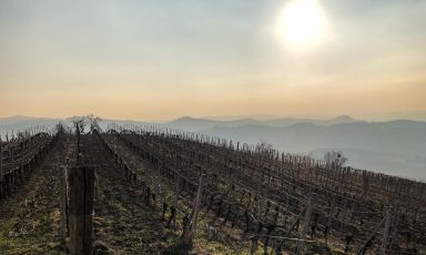 Un affascinante paesaggio: siamo sulle colline del Nizza
