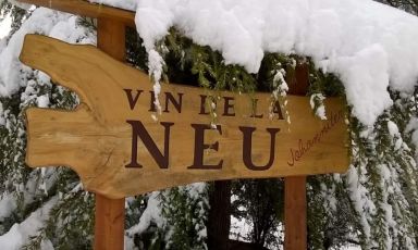 Vin de la Neu, la sfida in alta quota di Nicola Biasi: «Voglio fare un grande vino»