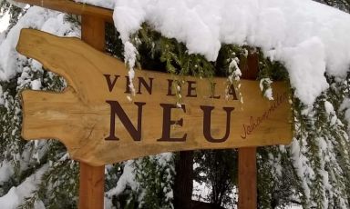 Vin de la Neu nasce in Val di Non, in Trentino, dall'idea di Nicola Biasi
