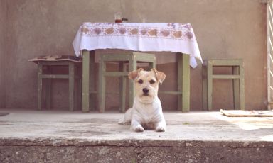 Foto di Vladimir Petrovic (Pexels)
