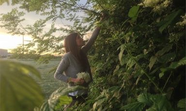 INTO THE WILD. Valeria Margherita Mosca nell'esercizio di foraging, raccolta di cibo spontaneo. Assieme a un team di scienziati, cuochi e mixologist ha fondato Wood*ing, wild food lab a Seregno, in provincia di Monza Brianza, "un laboratorio di ricerca sulla raccolta, la conservazione e l’utilizzo del cibo selvatico in cucina". Valeria sarà tra i relatori di Identità Naturali al congresso di Identità Milano, 6-8 marzo 2016