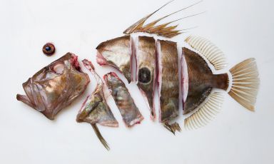 Una foto tratta da The Whole Fish Cookbook, il libro dello chef australiano Josh Niland in cui quest'ultimo spiega le proprie incredibili tecniche di maturazione del pesce fresco. Lo ha fatto anche al recente Madrid Fusión, noi c'eravamo
