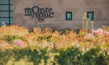 Monte delle Vigne, i vini della provincia di Parma che rilanciano il territorio