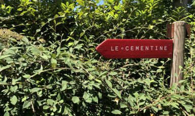 Le Cementine, the restaurant inside H-Farm in Ca&