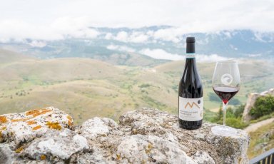 Vini d'Abruzzo: passato, presente e futuro