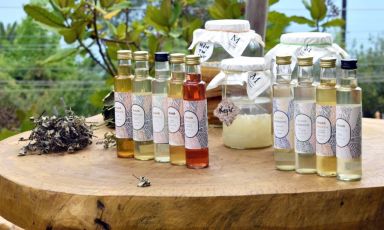Le bevande fermentate Kruda di Laura Colagreco a Mentòn: «Un giardino in bottiglia»