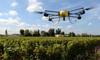 Drones and ozone for Morellino
