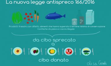 In an incredibly short lapse of time, the new Italian anti-waste law, avantgarde in Europe, has become effective. Lisa Casali explains to Identità Golose what it is and how it works. The illustration is by Lisa Casali