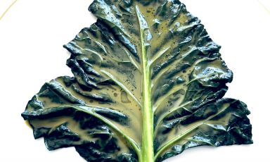 Foglia di broccolo e anice, piatto simbolo della degustazione vegetale questa primavera al Reale di Castel di Sangro
