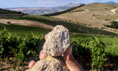 Serra Ferdinandea, un sogno in Sicilia. Planeta e i francesi Oddo Vins&Domains insieme in un nuovo progetto