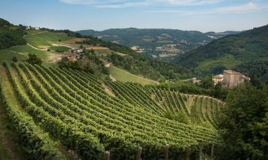 Un'immagine della zona di produzione dell'Alta Langa
