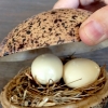 Pickled and smoked quails eggs, Uova di quaglia sbollentate, marinate e affumicate, un classico del Noma. Il tuorlo è completamente liquido