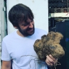 And now, all off to Mexico (in the photo from Instagram, Renè Redzepi is holding a Mexican swamp root)
