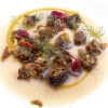 Anna Rita Simoncini, I Sette Consoli, Orvieto (Terni)

Vineyard snails with wild herbs and chestnut and Jerusalem artichoke sauce. A local classic with the scents of herbs and earths; the chestnuts and Jerusalem artichoke sauce gives sweetness and freshness
