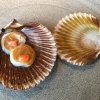 The Queen Clam is a very small variety of Norwegian scallop, seasoned with a vegetal reduction made with cucumber and peas miso. The red tip is the coral. "You should eat it using the top shell ", recommends Redzepi
