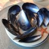 The lid above the following dish. The mussels are not edible
