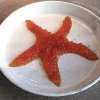 Sea star, stella marina, ovvero Cured trout roe and eggs, il primo piatto simbolo del nuovo corso. Uova di trota marinate nel katsuobushi su un gel di uovo marinato. La raccomandazione è quella di passare il cucchiaino dal cuore alle periferie dei tentacoli. Un piatto più scenografico che delizioso
