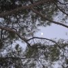 Tre ore dopo sale la luna nel cielo di Andria, venerdì 2 dicembre 2011