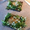 Snack interlocutorio di guancia di merluzzo su un velo sottile di alga con fiori di wasabi islandese, condito con una pasta di finferli preservati ed erbe
