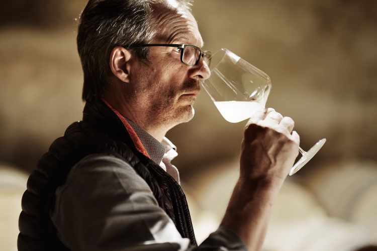 Il winemaker Hans Terzer 
