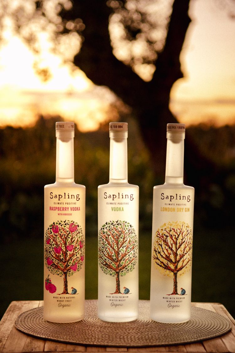 Tre dei prodotti firmati Sapling Spirits:&nbsp;Rasperry Vodka,&nbsp;Vodka classica e il loro London Dry Gin
