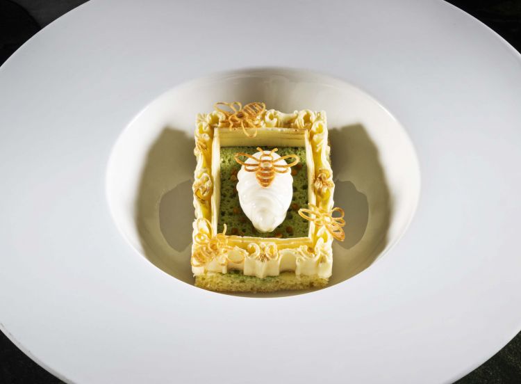 Yogurt, miele e bacelli di pisello
Un dessert figurativo, composto da una cake allo yogurt bagnata da estratto di piselli. La cornice è una bavarese allo yogurt, gelato allo yogurt, miele, polline e chips al miele. Un dolce-non-dolce di curiosa ispirazione: i quadri di 142
