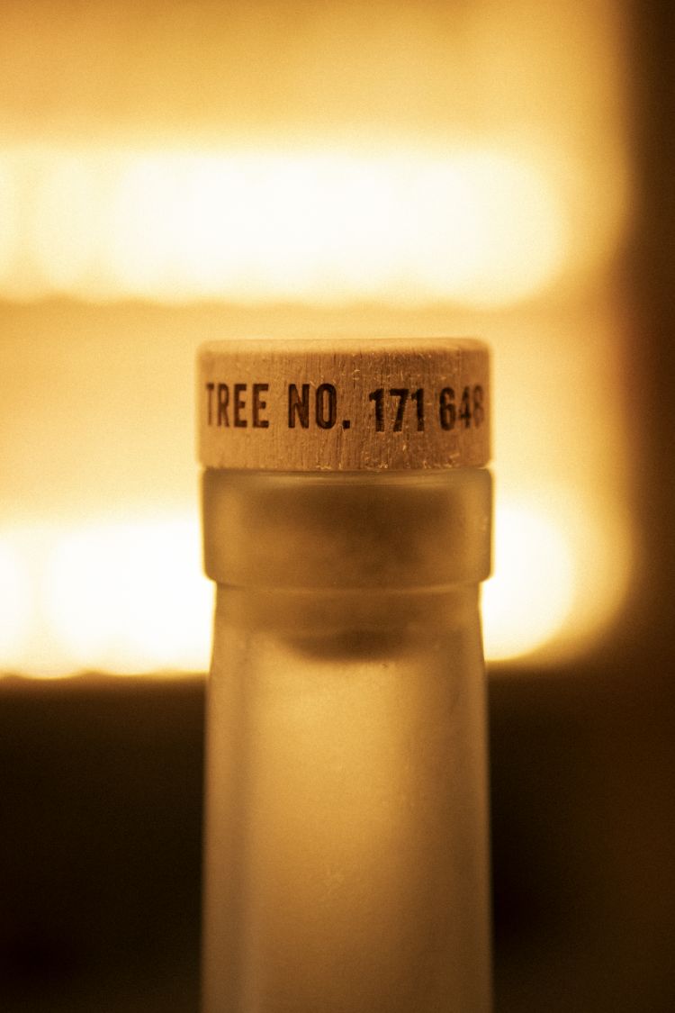 In ogni bottiglia prodotta da Sapling Spirits&nbsp;viene indicato il numero di riferimento dell'albero piantato grazie al progetto "One Bottle, One Tree"
