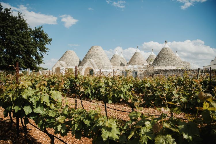 Uno scorcio dai vigneti del Nina Trulli Resort nelle campagne di Monopoli, in provincia di Bari
