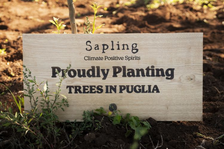 Durante il retreat organizzato da Sapling Spirits 