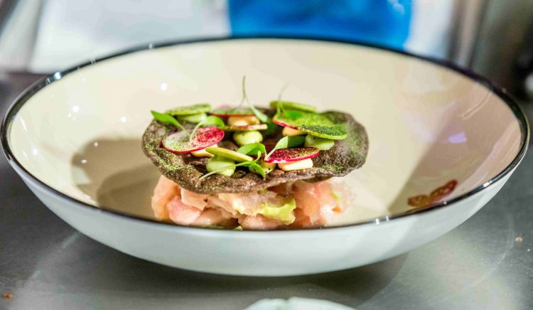 Tortilla con palamita, avocado e olio di coriandolo
