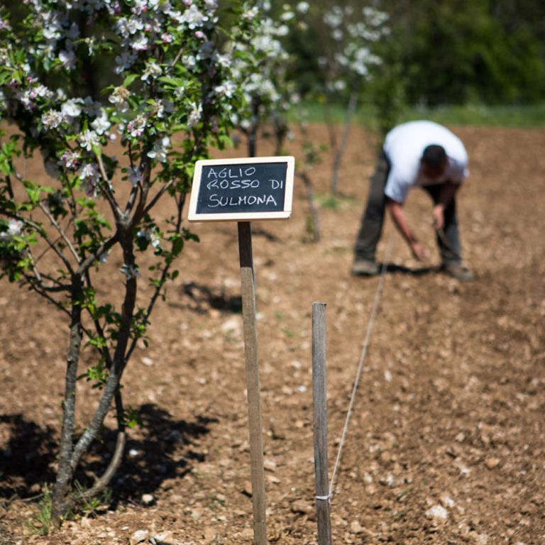 L'orto di Valle Reale
