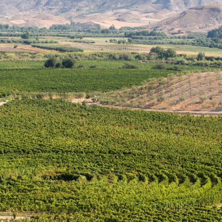 Panoramica della Tenuta Rosaneti, una delle 4 ten