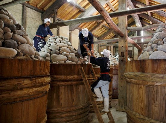 The traditional production of miso at Maruya Hacch