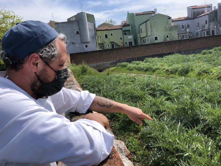 Brutto indica il terreno confinante conVenissa. Sta per essere annesso alla proprietà, con le relative abitazioni. Nel 2022, l'hotel conterà su nuove suite