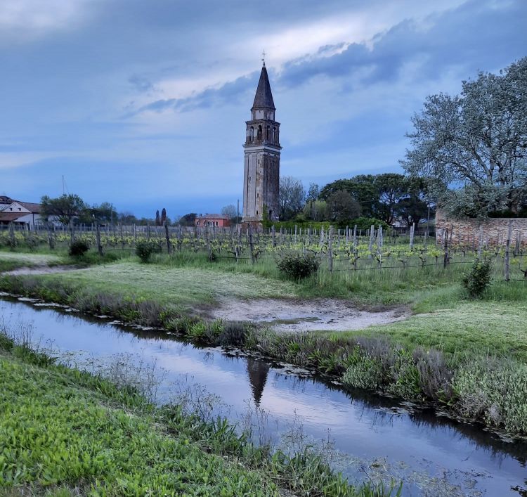 Venissa al tramonto. Il wine resort di Mazzorbo - proprietà di maggioranza di Gianluca Bisol - comprende anche le belle stanze di Casa Burano, nell'isola attigua