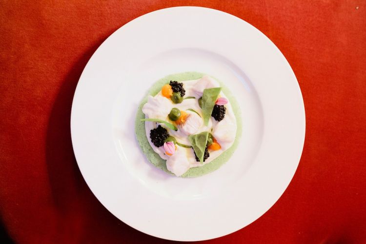 Friabile d'alghe, gabilo cremoso e caviale d'aringa