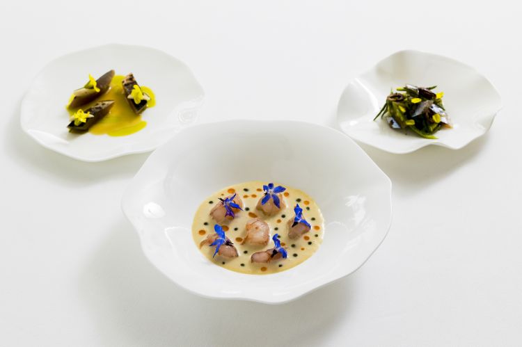 Sgombro affumicato, mandorle e olive, Mazzancolle in bagna cauda, Sardoni, puntarelle e limone nero