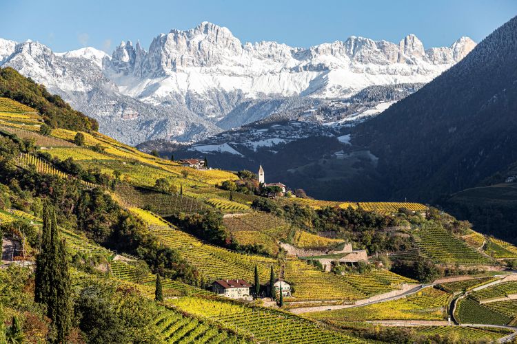 Alla scoperta dei vini iconici dell'Alto Adige