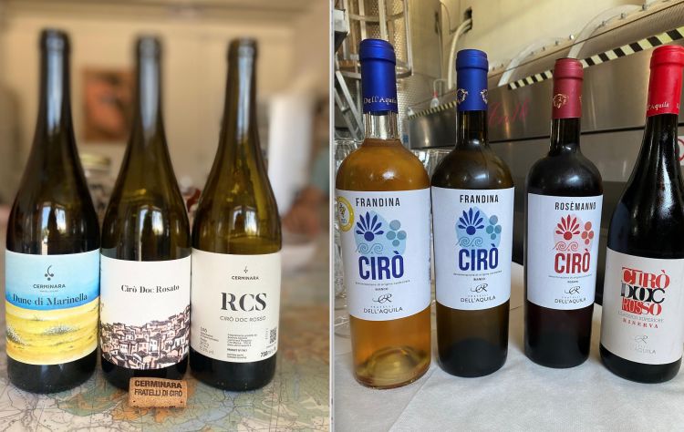 I vini di Cerminara e Dell'aquila, due espress