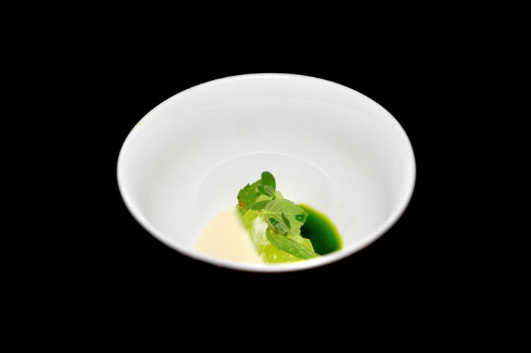 Dopo un appetizer gi&agrave; sferzante (Insalata liquida di pomodori e cipolle) ecco Cetriolo, salsa di rafano e olio all&rsquo;aneto. Il cetriolo accentua la componente vegetale e rinfrescante, mentre la salsa di rafano introduce una nota pungente; chiude l&rsquo;olio all&rsquo;aneto, che lega il piatto con un profilo aromatico netto e balsamico

