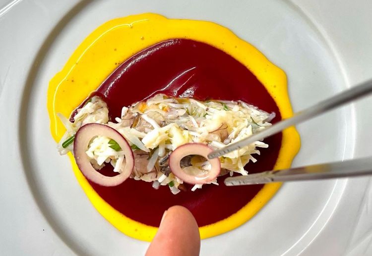 Insalata di granchio e canocchi , crema di rapa 