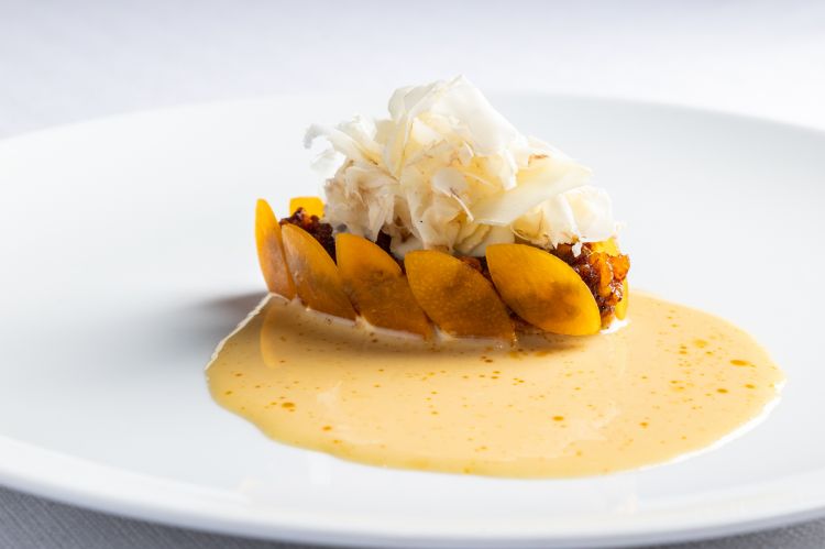 Zucca, mela cotogna, pelle di maiale croccante -&nbsp;David Žefran
L'antipasto&nbsp;intrecciava&nbsp;la pelle di maiale (tipo chicharrones) con gli ingredienti di cui il suino si nutriva in vita: la zucca e la mela cotogna d'autunno/inverno e&nbsp;il latte
